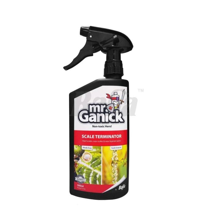 Mr Ganick Scale Terminator | Organic Pesticides | Pesticides for Plants | Baba Gardening Mr Ganick Scale Terminator | Organic Pesticides | Pesticides for Plants | Baba Gardening