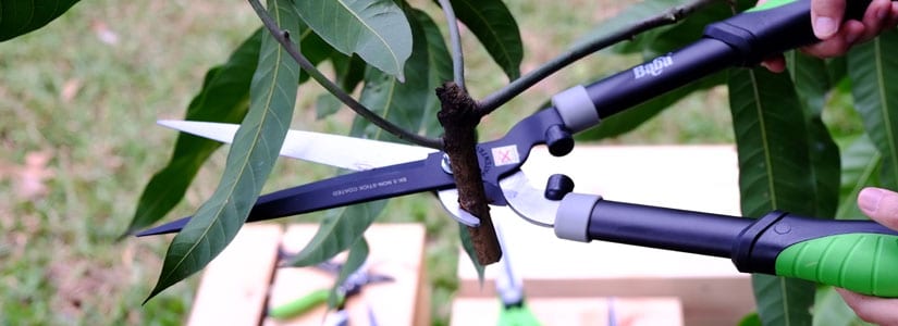Garden Tools | Tools used for Gardening | Pruning Shears | Baba Gardening Garden Tools | Tools used for Gardening | Pruning Shears | Baba Gardening