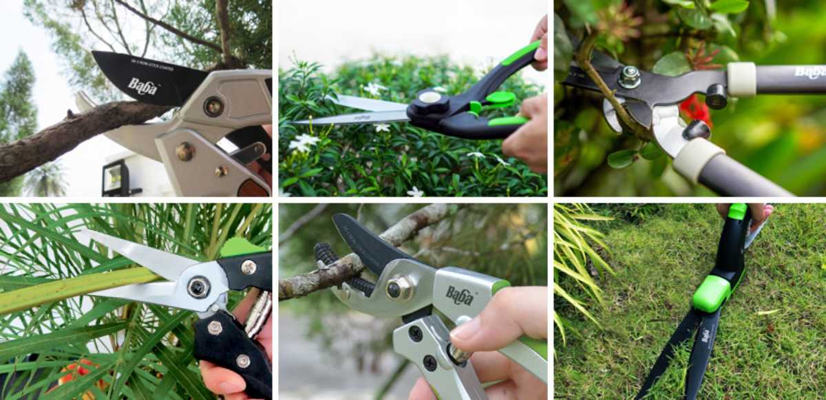 Garden Tools | Tools used for Gardening | Pruning Shears | Baba Gardening Garden Tools | Tools used for Gardening | Pruning Shears | Baba Gardening