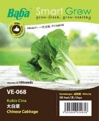 Chinese Cabbage Sowing Tips | Gardening 园艺 Kursus Pertanian | Organic Fertilizers 有机肥料 Baja Organik | Garden Tools 居家园艺工具 Peralatan Taman | Baba Gardening