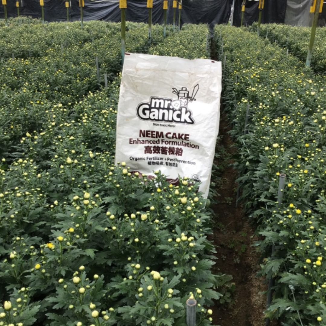 Mr Ganick Organic Pesticide
