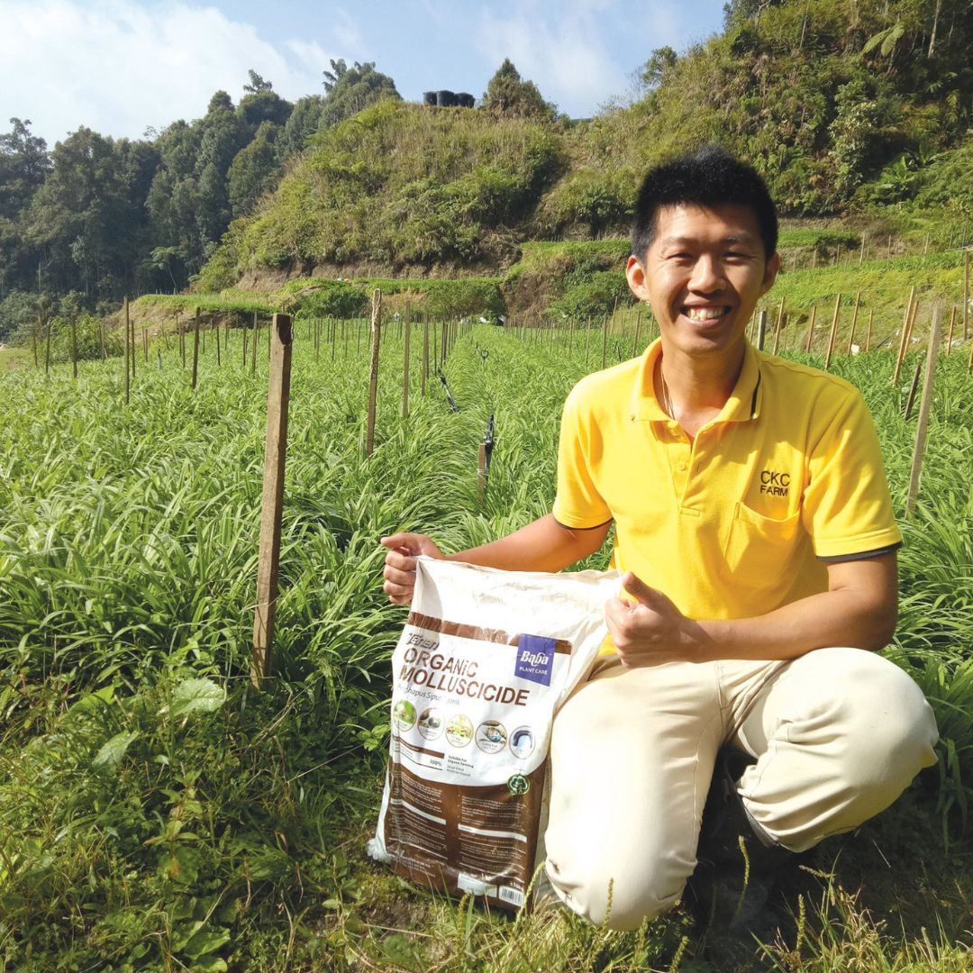 Mr Ganick Organic Pesticide