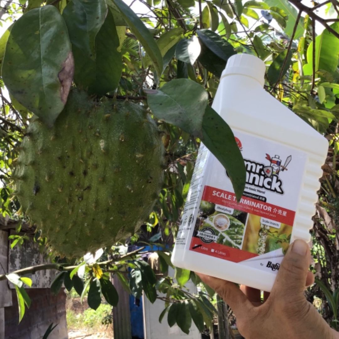 Mr Ganick Organic Pesticide