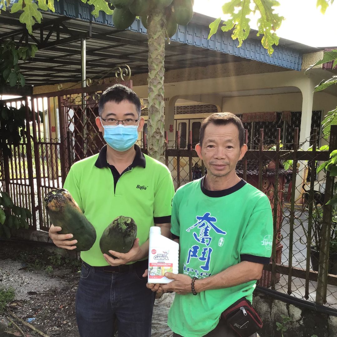 Mr Ganick Organic Pesticide