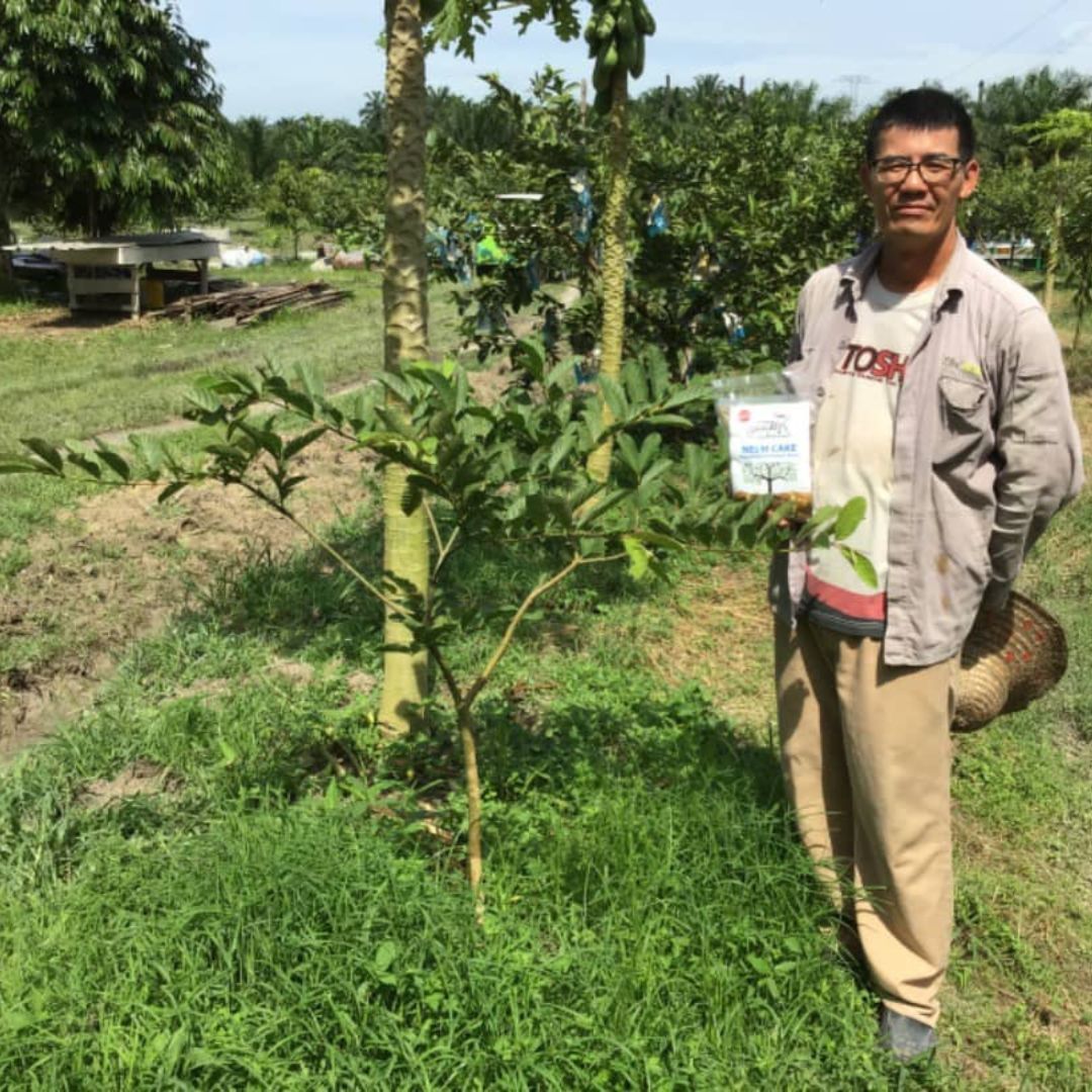 Mr Ganick Organic Pesticide