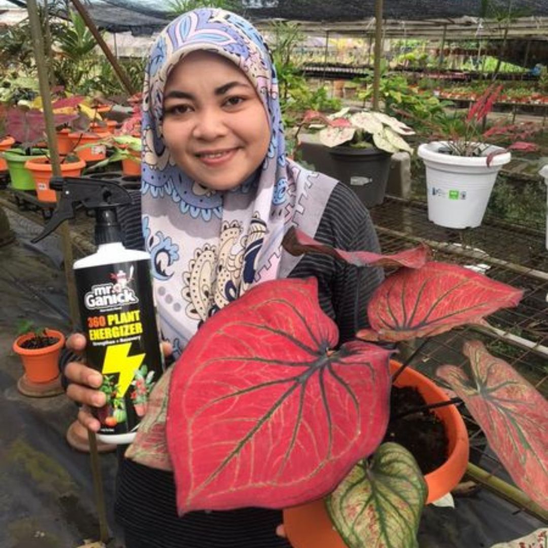 Mr Ganick Organic Pesticide