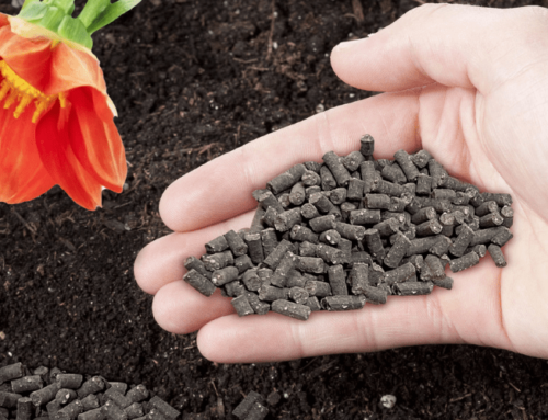 Fertilizer for flower plant