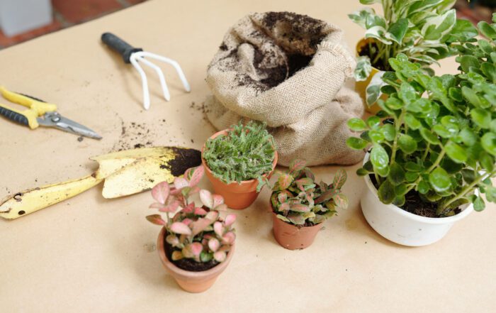 gardening tools