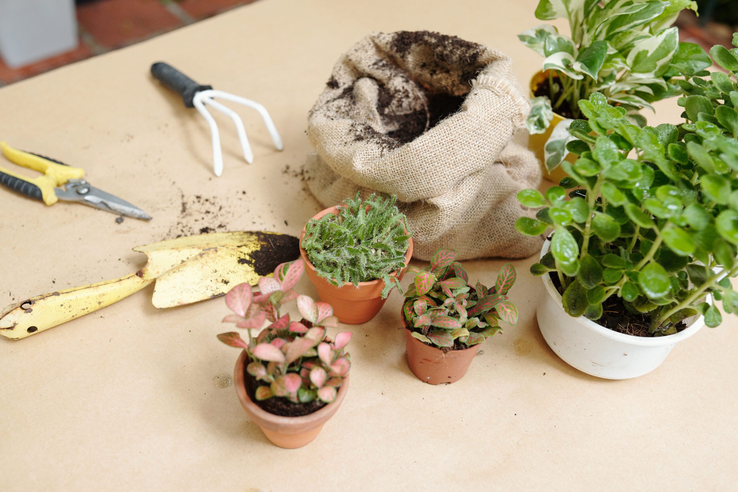 gardening tools
