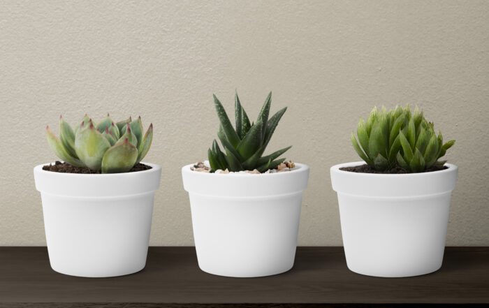 Flower pots for sale