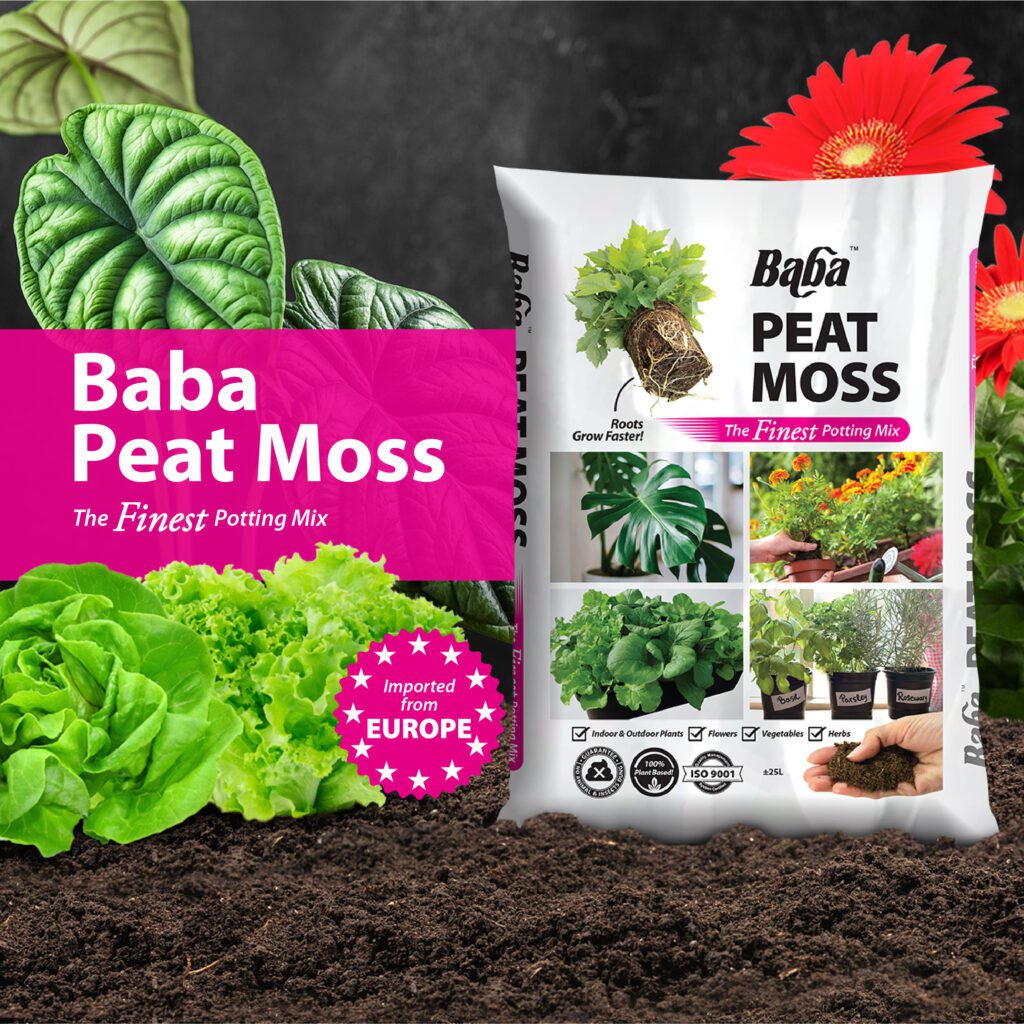 Peat-Moss_Organic-Soil_Soil-for-plants