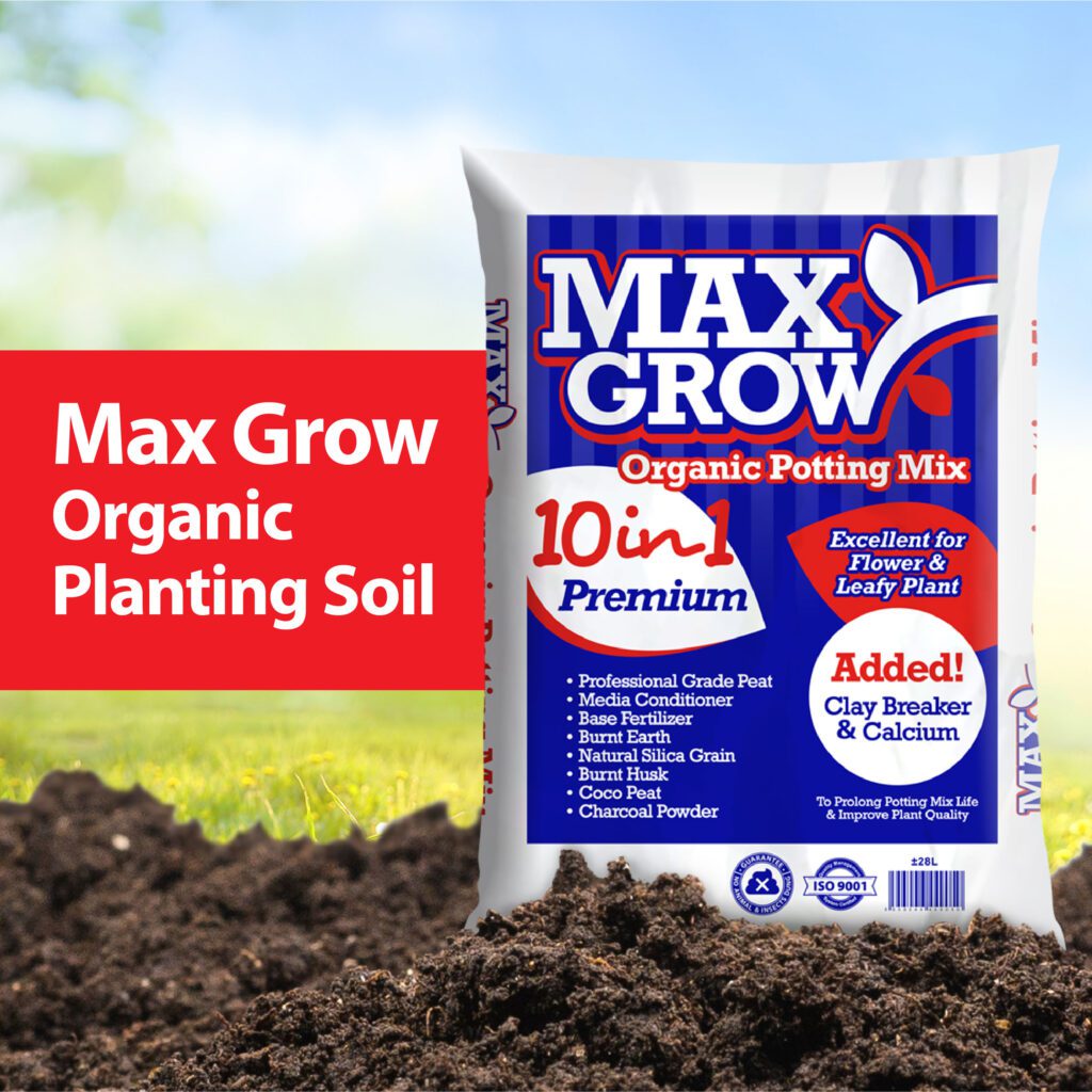 Max-Grow-Potting-Mix_Organic-Soil
