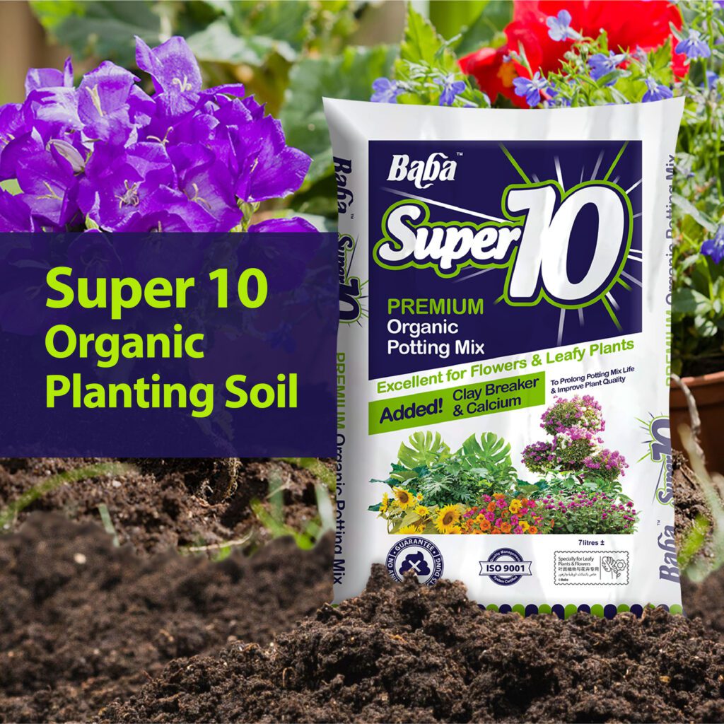 Super-10-Potting-Mix_Organic-Soil_Soil-for-plants