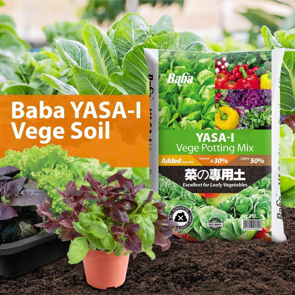 Yasa-i-Vege-Soil_Organic-Soil_Soil-for-vegetable