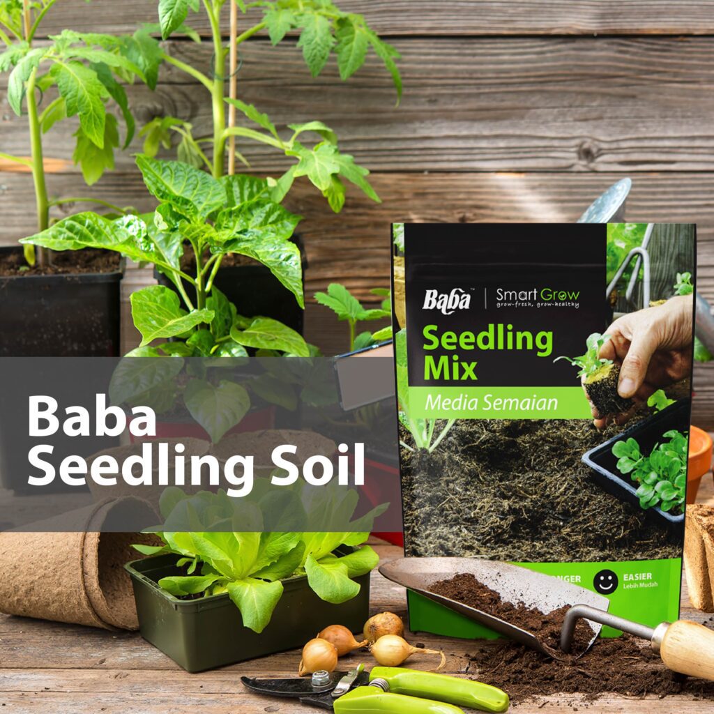 Seedling-Soil_Organic-Soil_Soil-for-plants