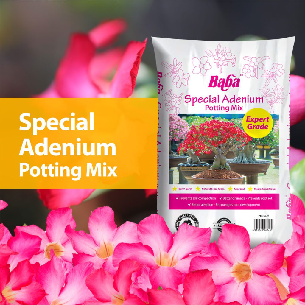Adenium-Potting-Mix_Organic-Soil_Soil-for-flower
