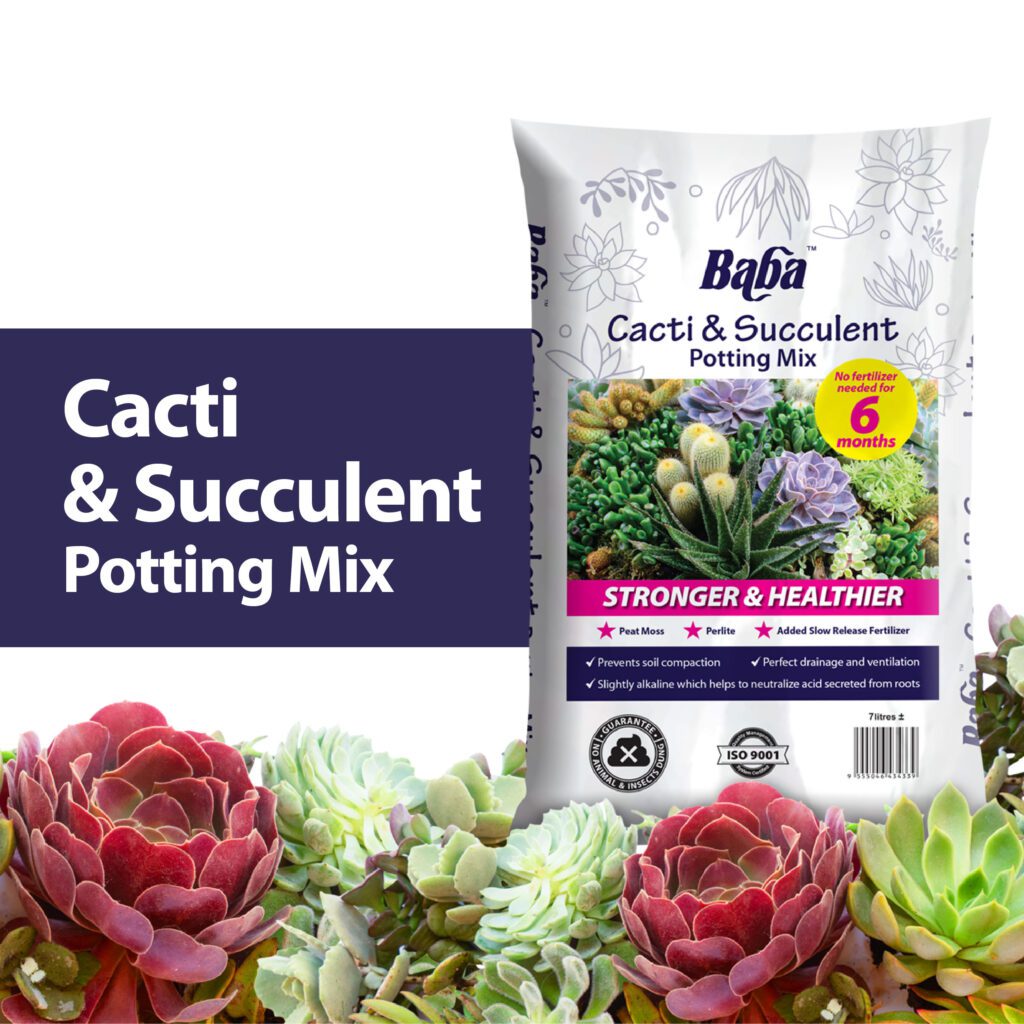 Cacti-Succulent-Potting-Mix_Organic-Soil_Soil-for-plants