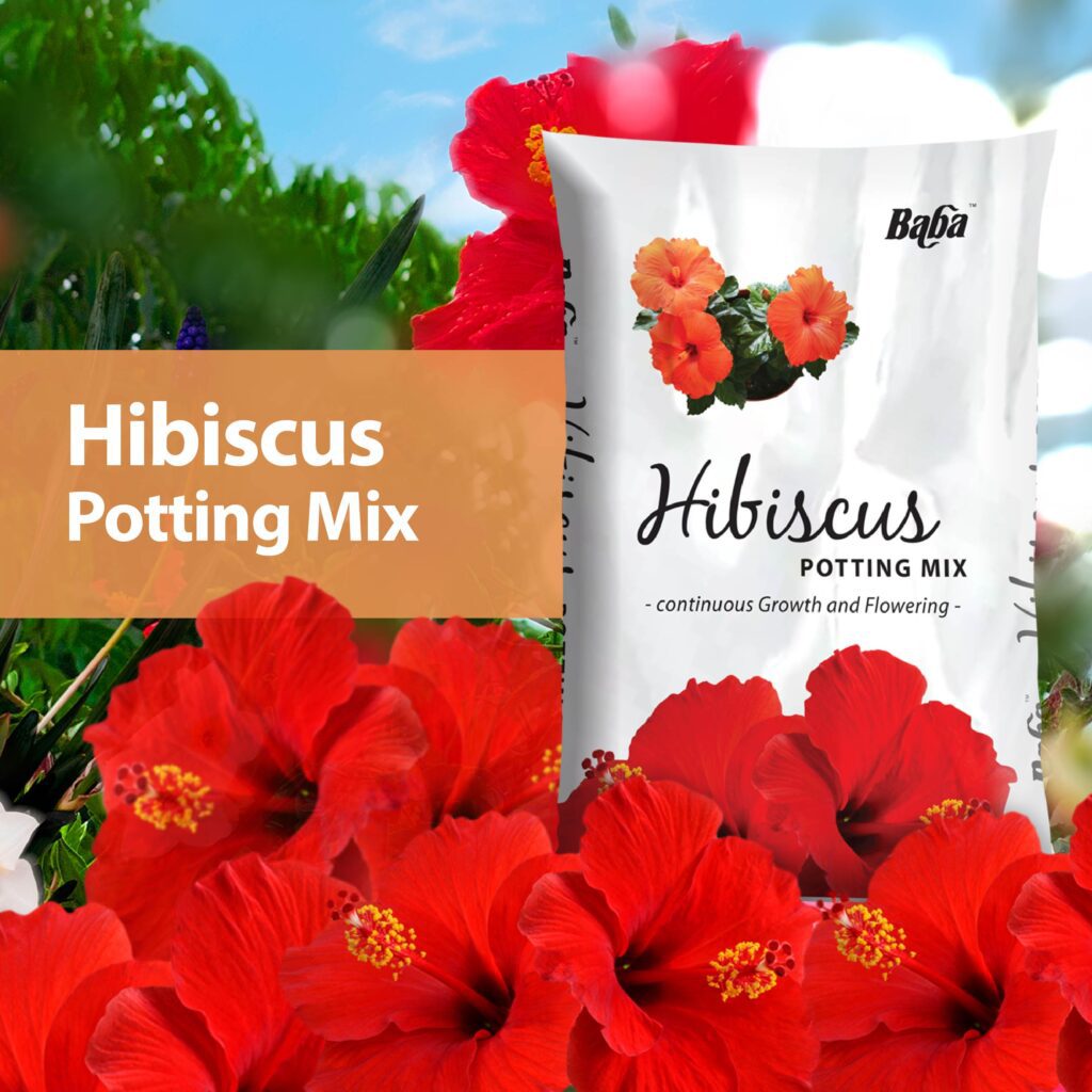 Hibiscus-Potting-Mix_Organic-Soil_Soil-for-flower