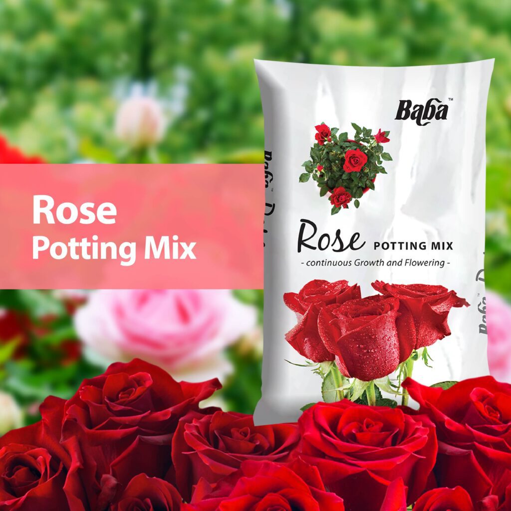 Rose-Potting-Mix_Organic-Soil_Soil-for-flower