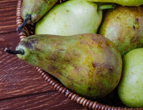 Mengapakah daun pokok jambu batu saya mempunyai bintik coklat/bintik karat?