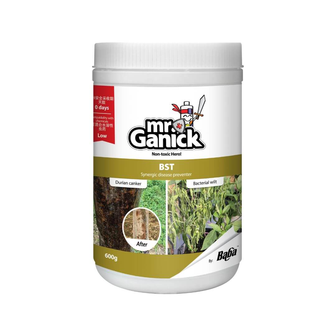 Mr Ganick BST product photo