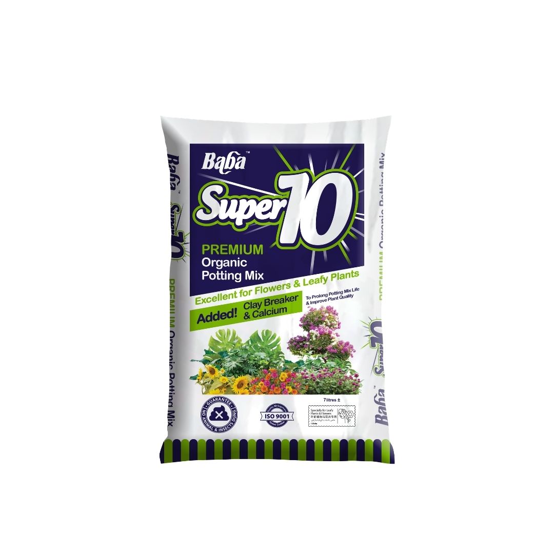Baba Super 10 02