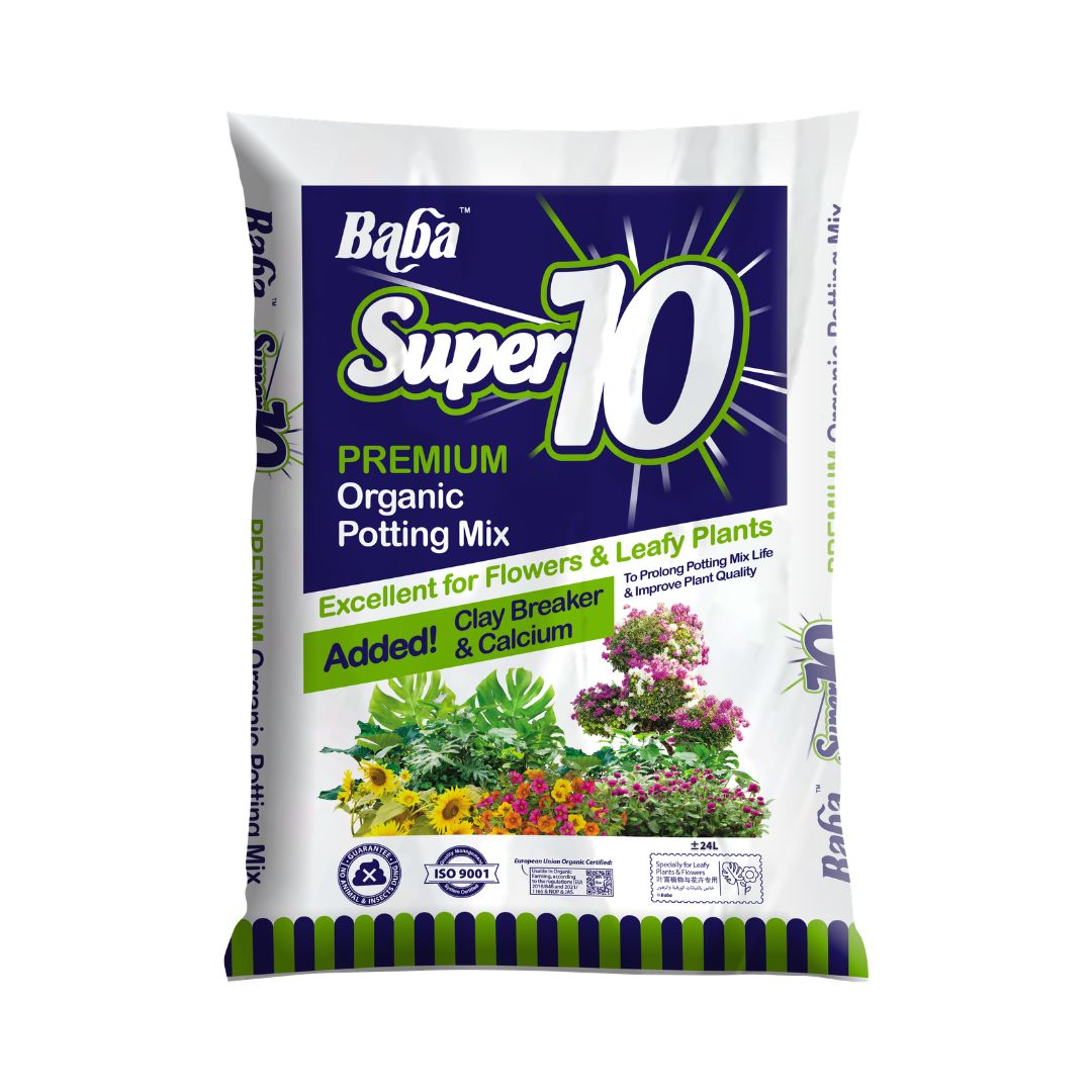 Baba Super 10