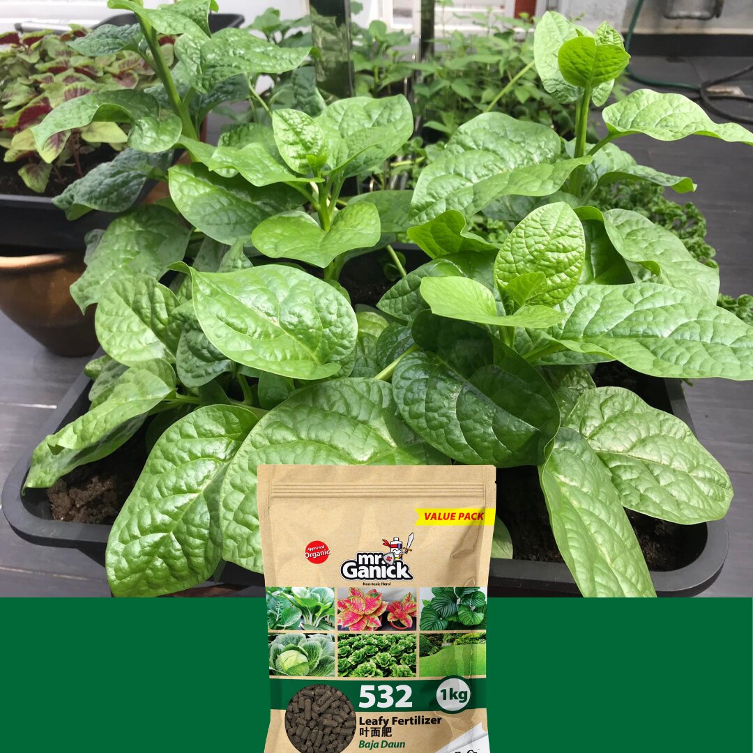 Baba fertilizer testi (28)