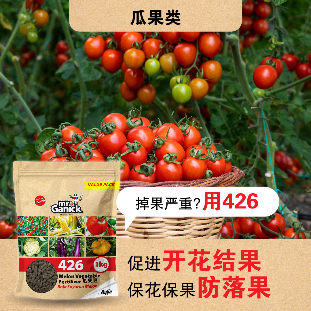 FB_Mr Ganick 肥料怎么选_V2-04 2