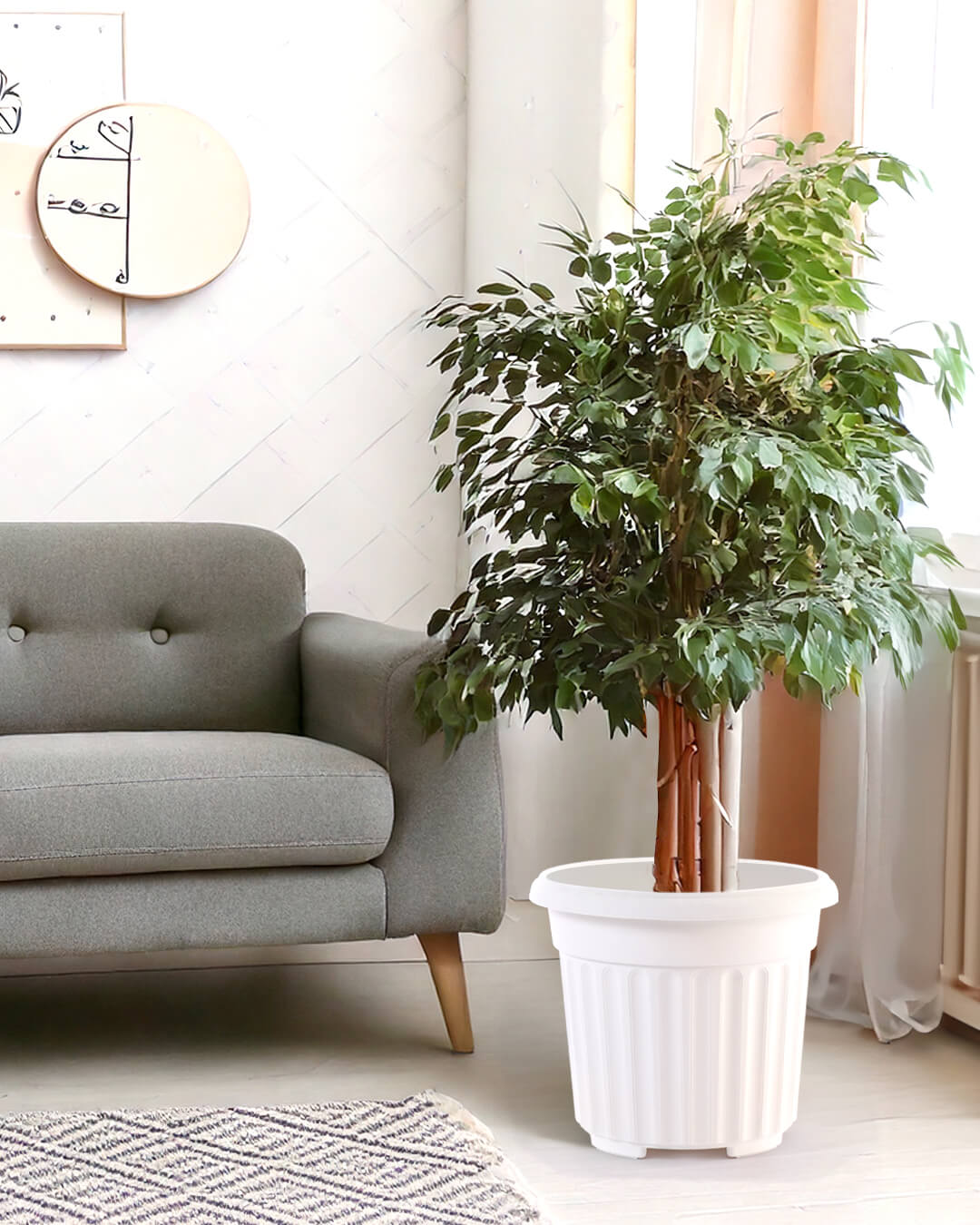 Baba biodegradable decoration flower pot for indoor