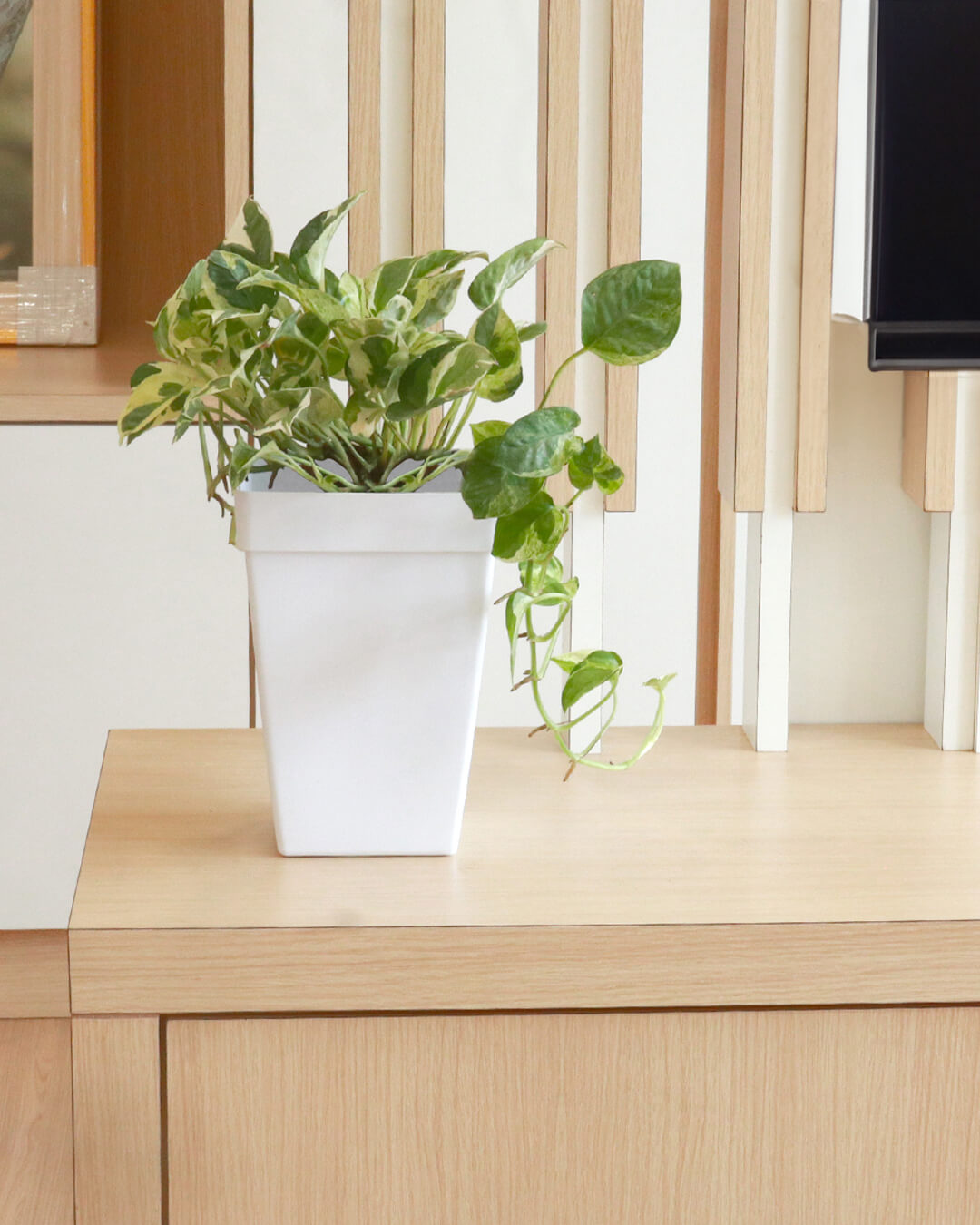 BABA WHITE COLOUR TABLE TOP FLOWER POT IN LIVING ROOM DECORATION-1