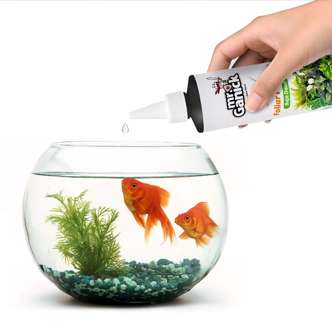 Environmentally safe plant growth solution in water