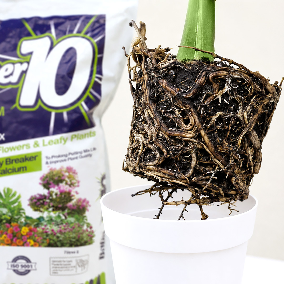 Baba Super 10 potting mix
