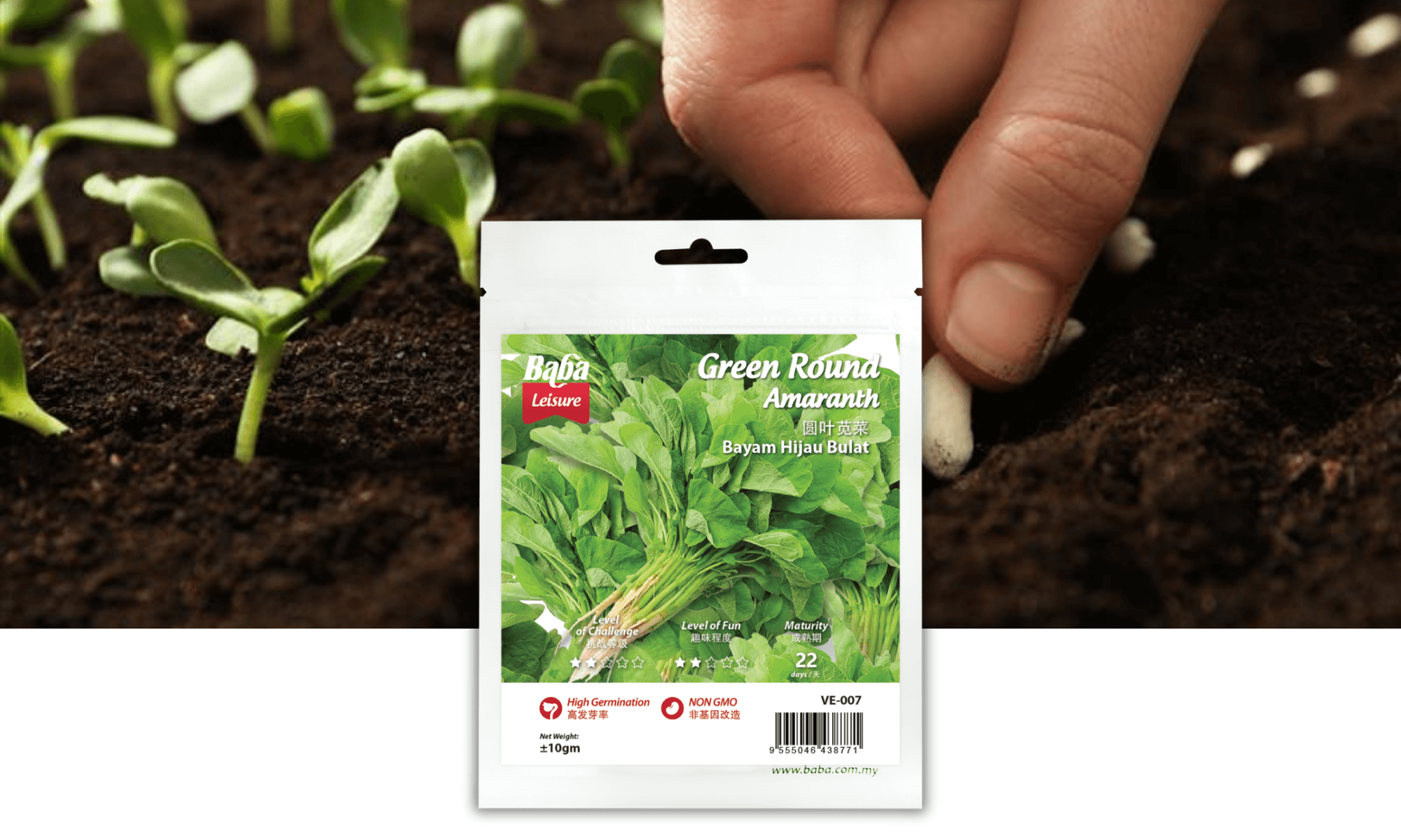 BABA VE-007 GREEN ROUND AMARANTH SEED PRODUCT IMAGE