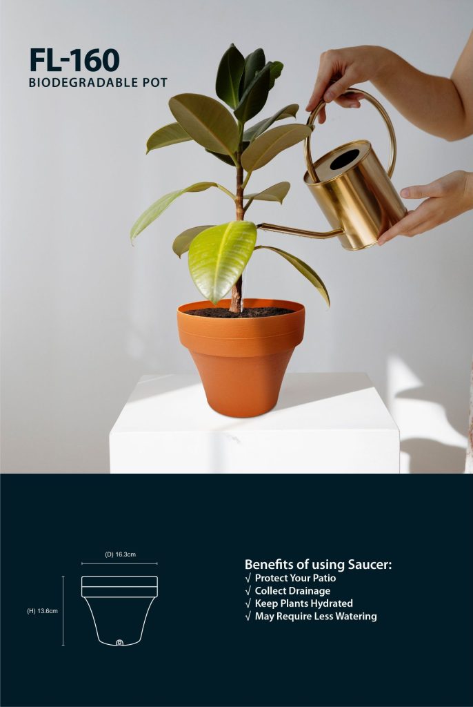 FL Series Flower Pot