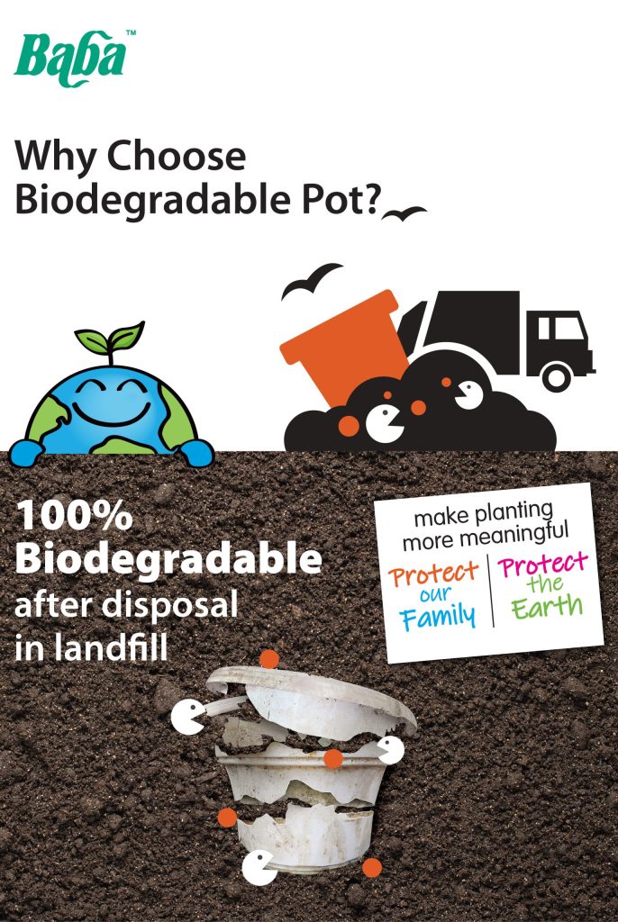 Baba FP-220 Flower Pot Product Description-03