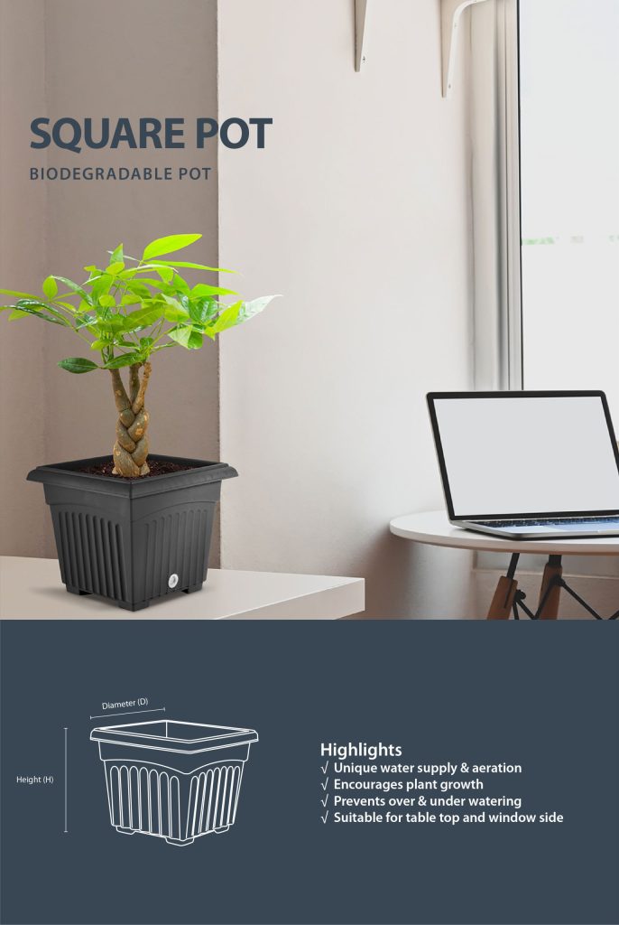 SQ Series Flower Pot