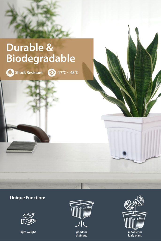 SQ Series Flower Pot