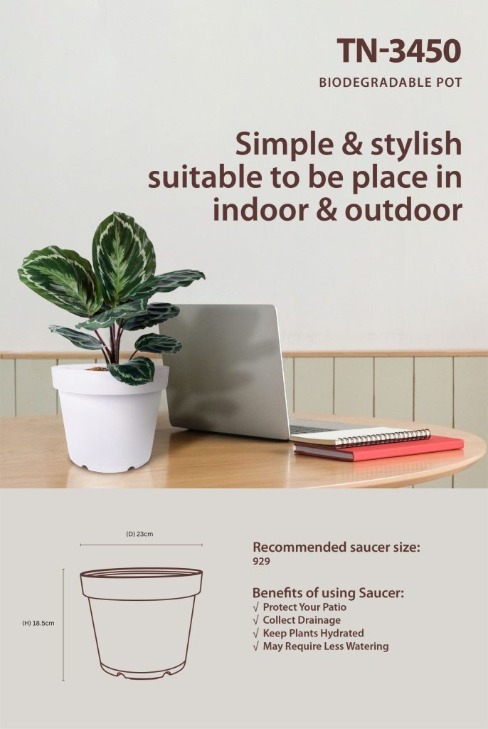 Tenen Series Flower Pot