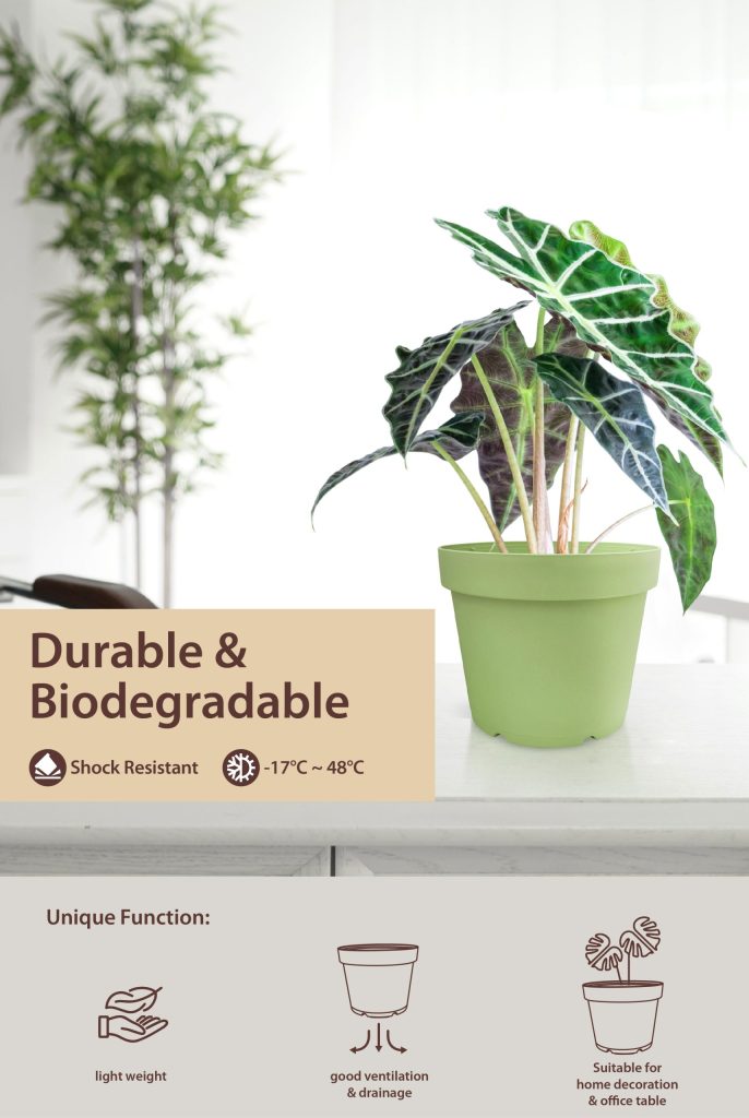 Tenen Series Flower Pot