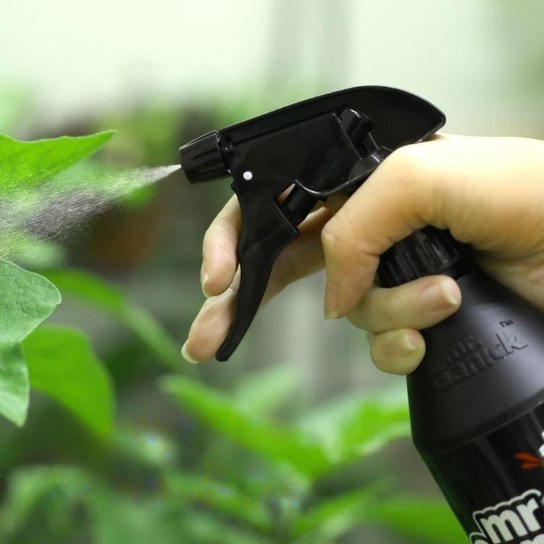 A person holding a bottle of Mr Ganick Organic Plant Acid, spraying on the leaves.